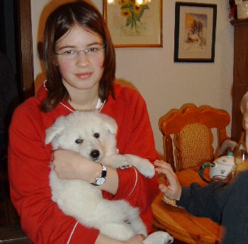 Ja, ich bin ein Schmusehund!