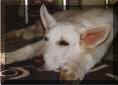 Jimmy - Der Tag war ganz schn anstrengend
